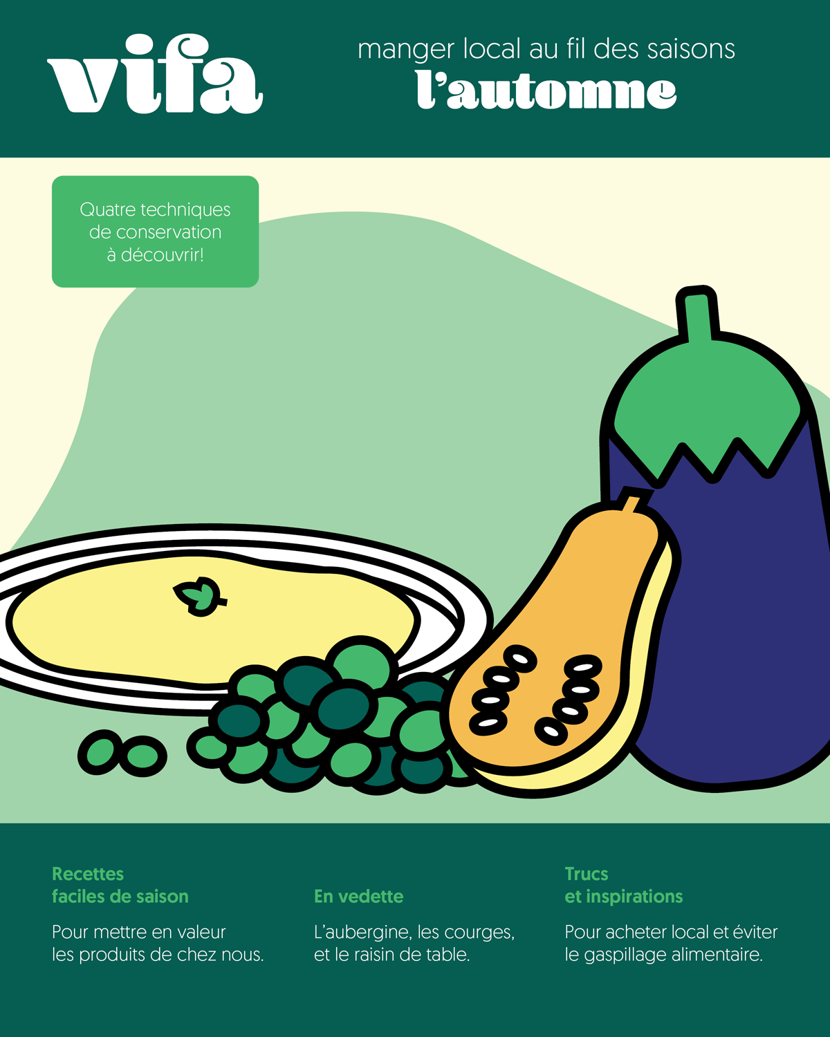 The final booklet mockup of VIFA's project